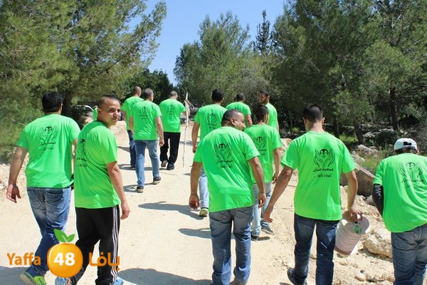 kenan jam3ijya (2).jpg